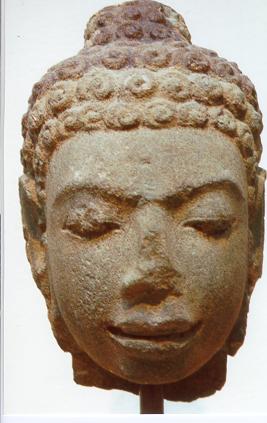 Buddha Hair